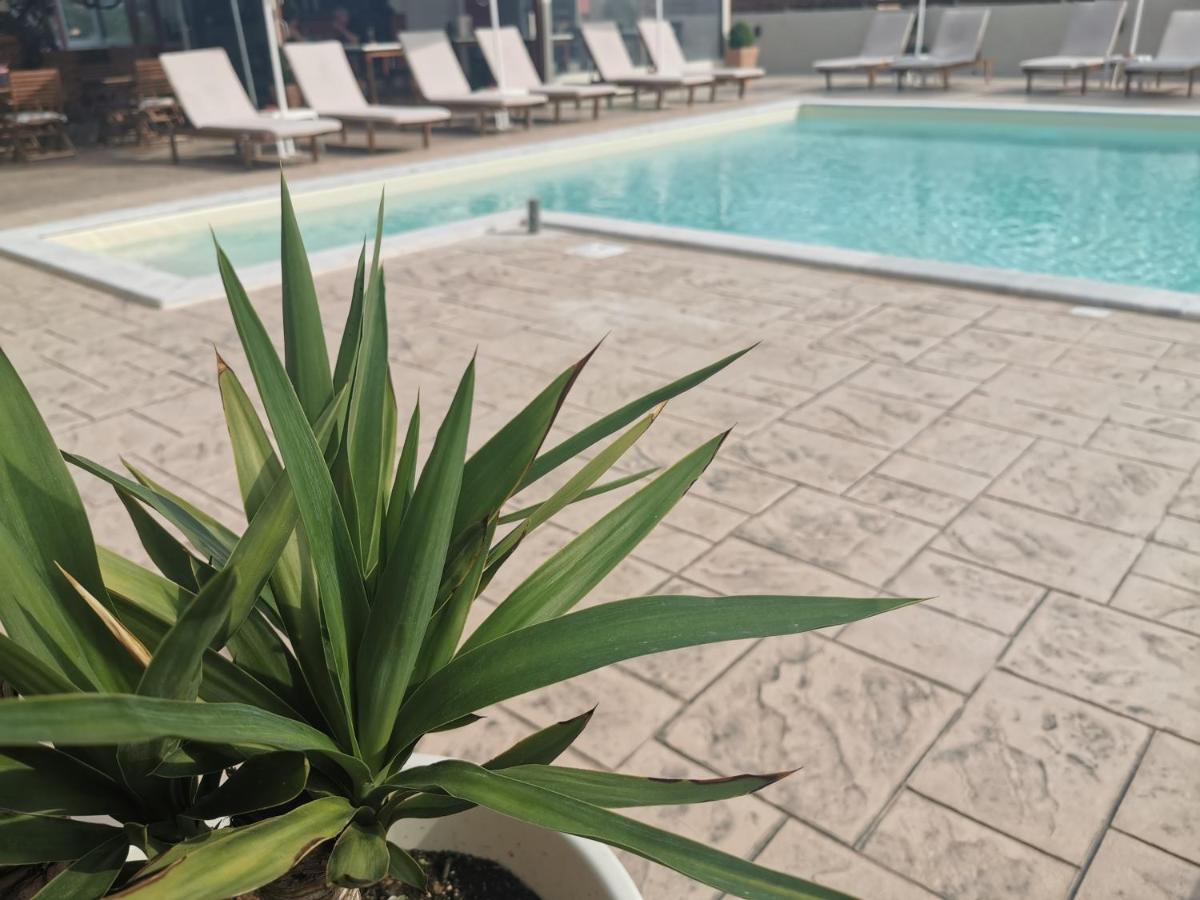 The Mathraki Studios (Adults Only) Arillas  Bagian luar foto